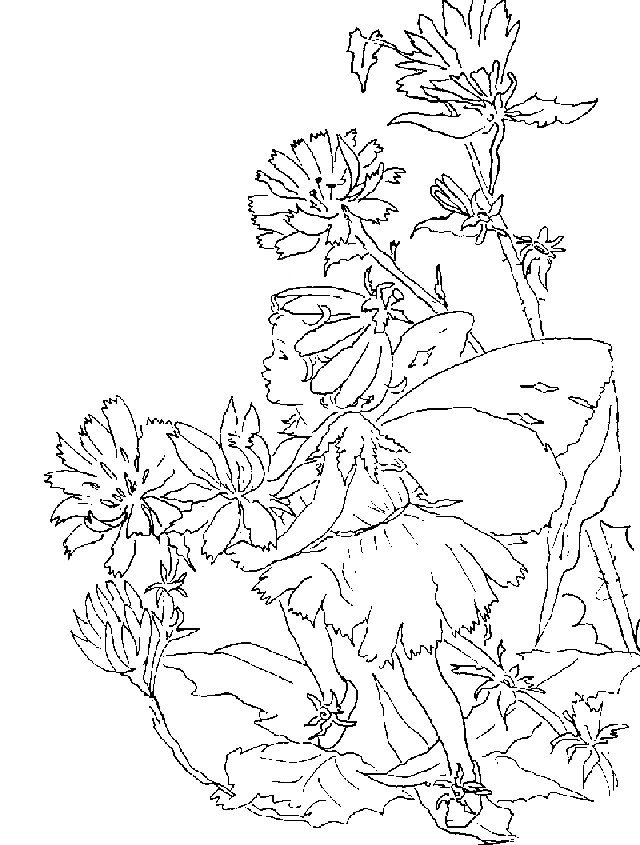 Plansa de colorat cu Zane 7 44